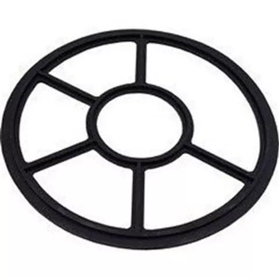 Pentair Valve Diverter Seal