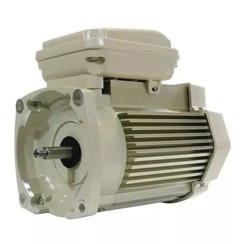 Pentair WhisperFlo 3 HP Pool Pump Motor – 354817S