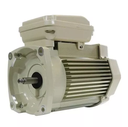 Pentair WhisperFlo 5 HPPool Pump Motor – 354819S