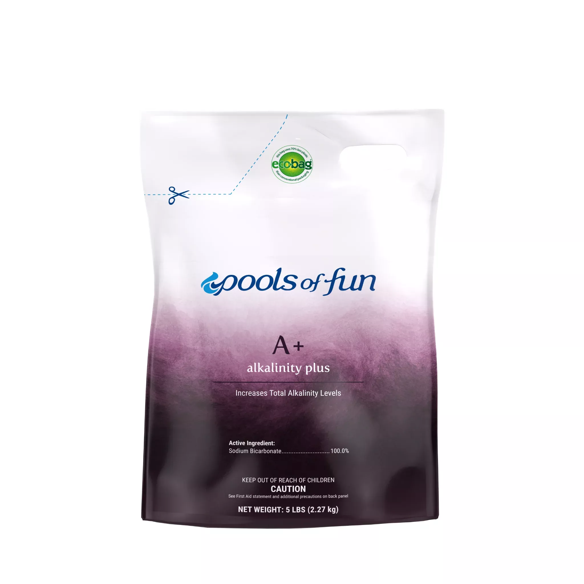 Pools of Fun – A+ Alkalinity Plus 5#