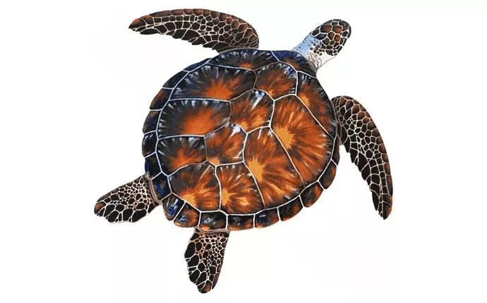 PORC-BT10-24 24" x 26" Brown Turtle Mosaic Pool Tile