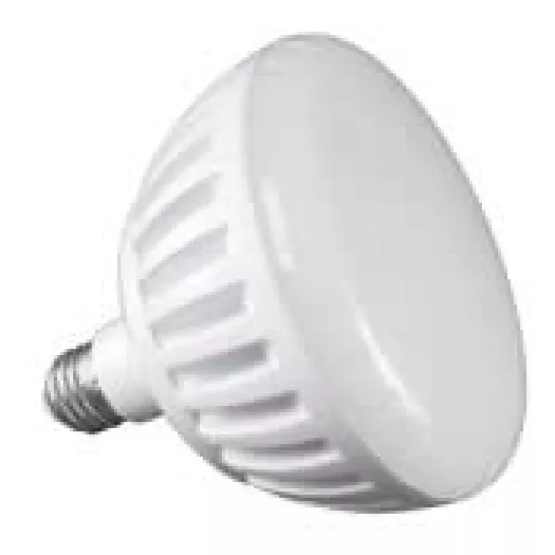 Pure White 2 LED Large Pool Light Bulb 120V For In Ground Pools