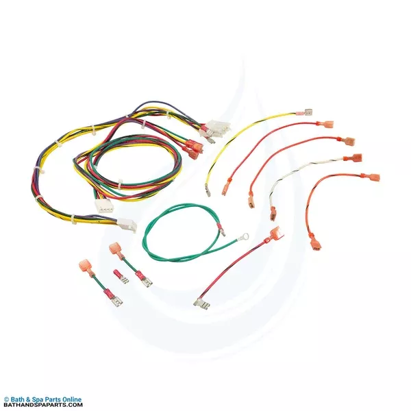 Raypak Wire Harness [RP2100 R185–R405 IID] (005270F)