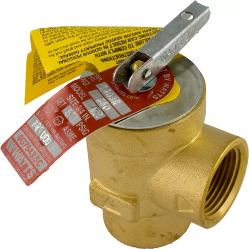 Relief Valve Pentair Minimax Plus/PowerMax 3/4" 72138