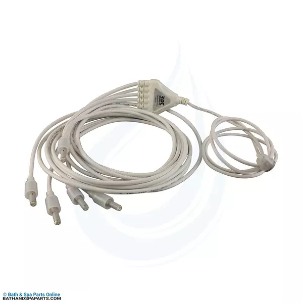 Rising Dragon Repl Bulb [RD 2-Wire Mini POL 6-Way LED 67″] (1MINI0-RD1C6)