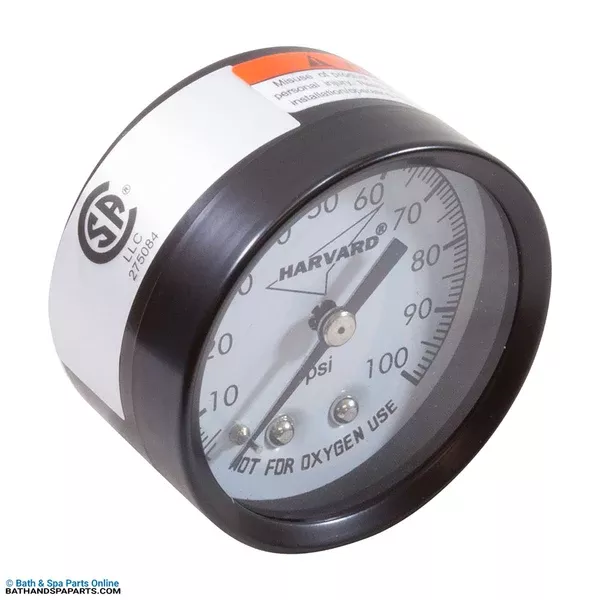 Speck Pumps ACF Filter Pressure Gauge (7200039349)