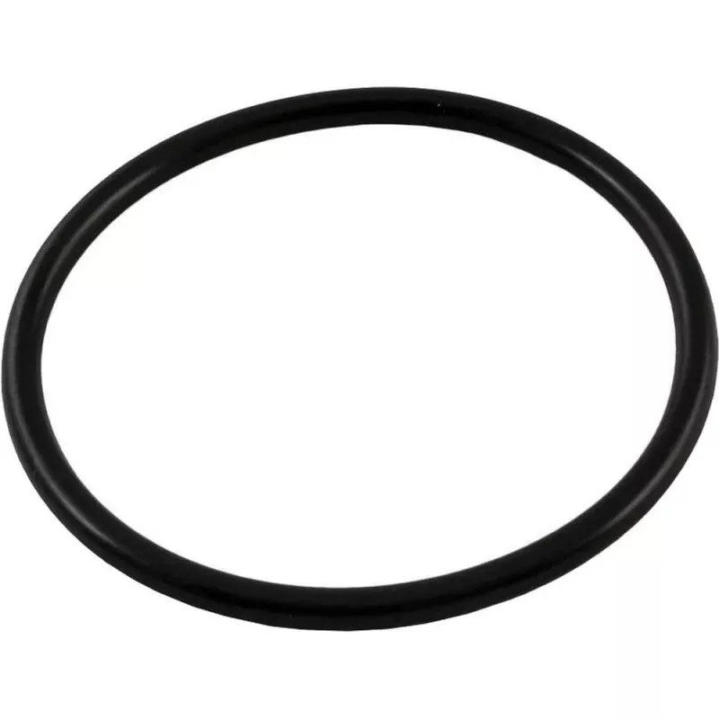 Waterway Bulkhead Coupler O-Ring (2 Required) – 805-0339B