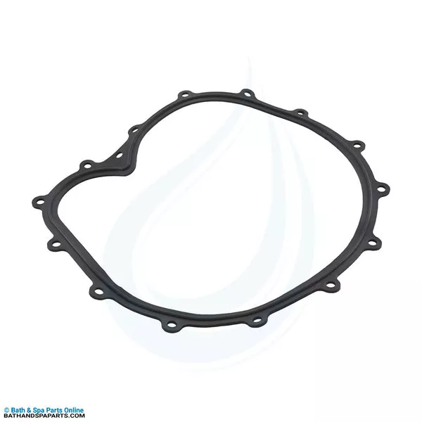 Waterway Faceplate Gasket [Big Red Pump] (711-2610)