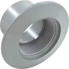 Waterway Plastics Wallfitting 1 1/2" Fptx2"Insider - Gry | 215-9897