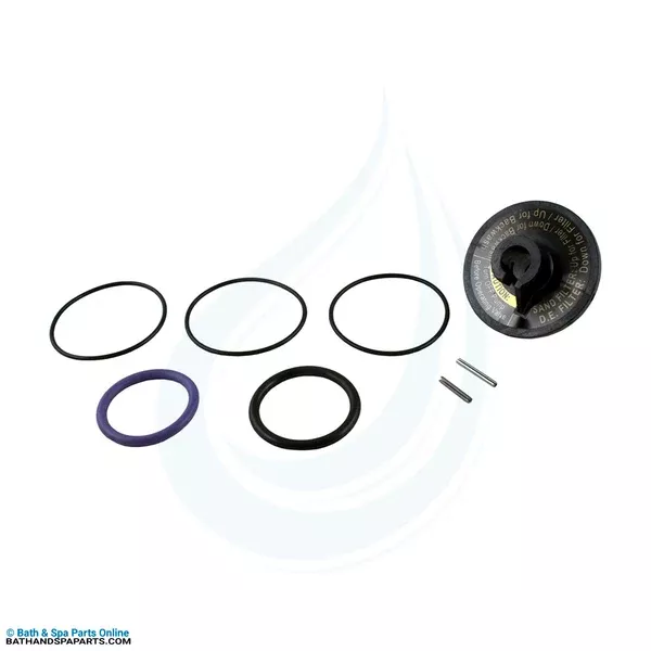 Zodiac Jandy Slide Valve Rebuild Kit (R0442100)